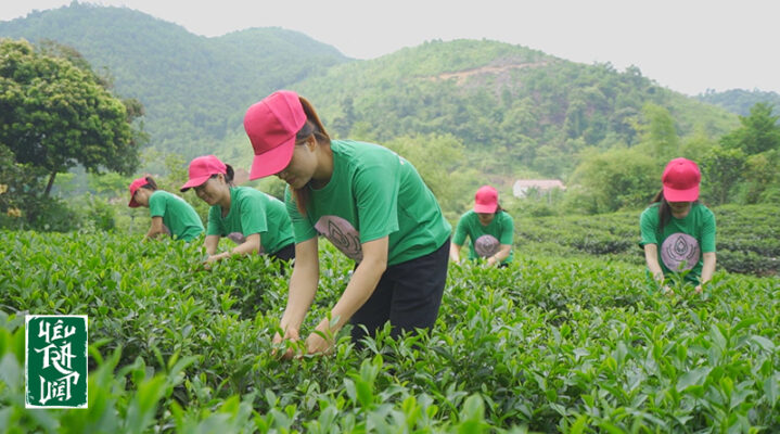 Sau vài năm diện tích và quy mô doanh nghiệp cũng mở rộng rất nhiều 