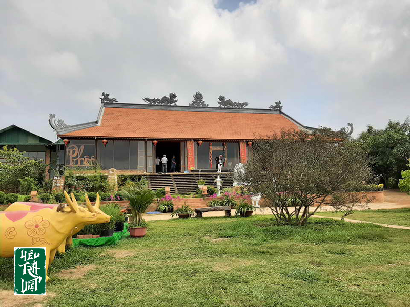 Không gian tuyệt vời để ngắm cảnh thưởng trà