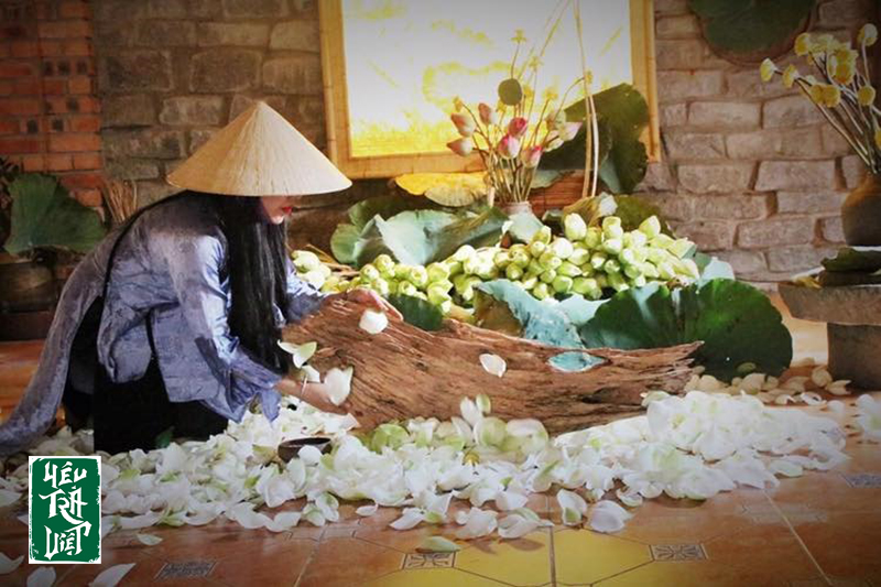 Nghệ thuật ướp sen, hương trà quyện vị sen 