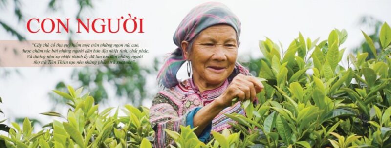 Tiên Thiên mang sứ mệnh cộng đồng ý nghĩa