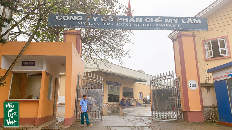 YTV thăm quan và trải nghiệm tại các cơ sở sản xuất chè