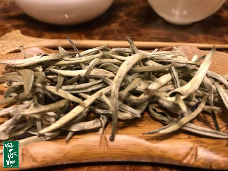 Trà Bạch Kim là bạch trà tốt nhất hiện nay