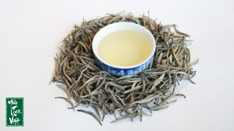 Nâng cao sức khỏe nhờ trà trắng