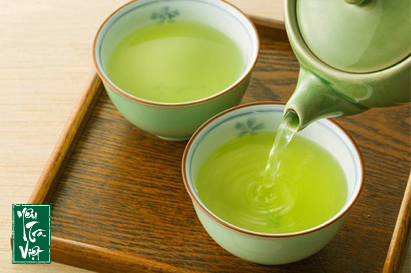 Trà xanh có nhiều dưỡng chất tốt cho sức khỏe