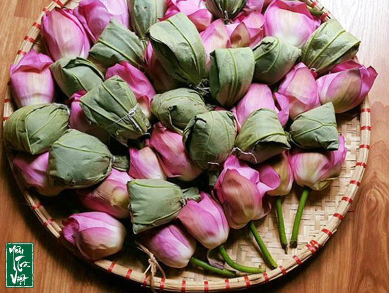 Trà ướp sen xổi