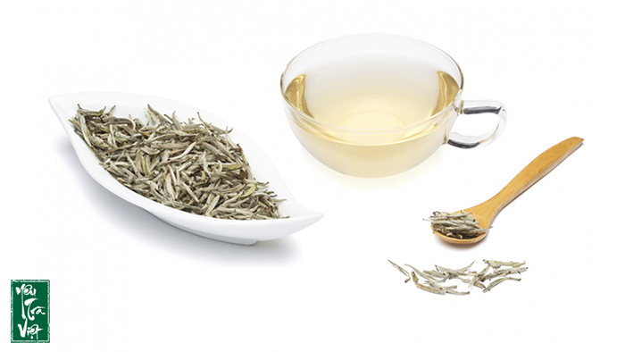 Trà trắng thường được làm từ búp của những cây trà được trồng ở vùng có độ cao lớn