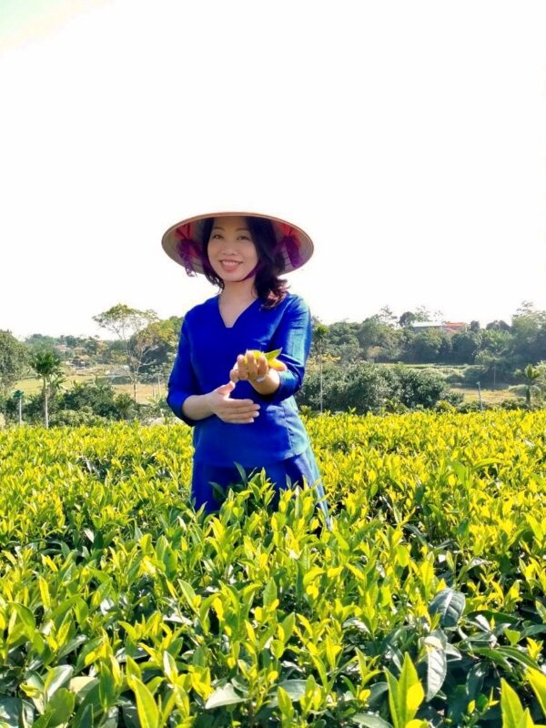 Bà Nguyễn Thị Hương Vân ( Chủ tịch HĐQT - Giám đốc Hợp tác xã Hương Vân Trà)