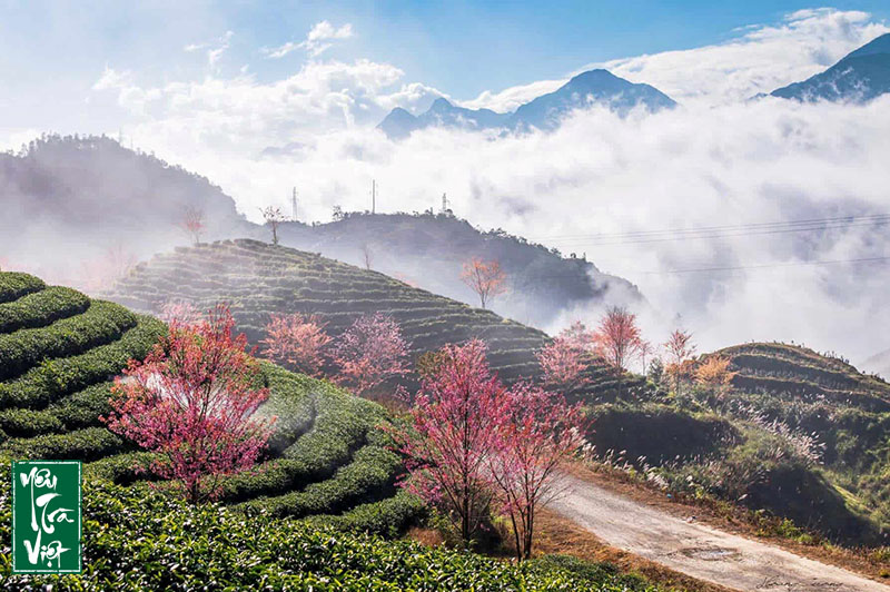 Địa điểm săn mây nổi tiếng