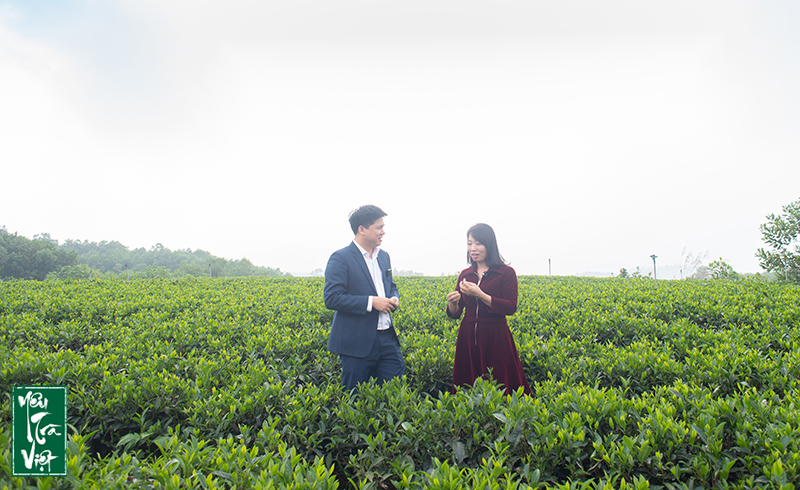 Chị Hương Vân chia sẻ những kiến thức về trà 