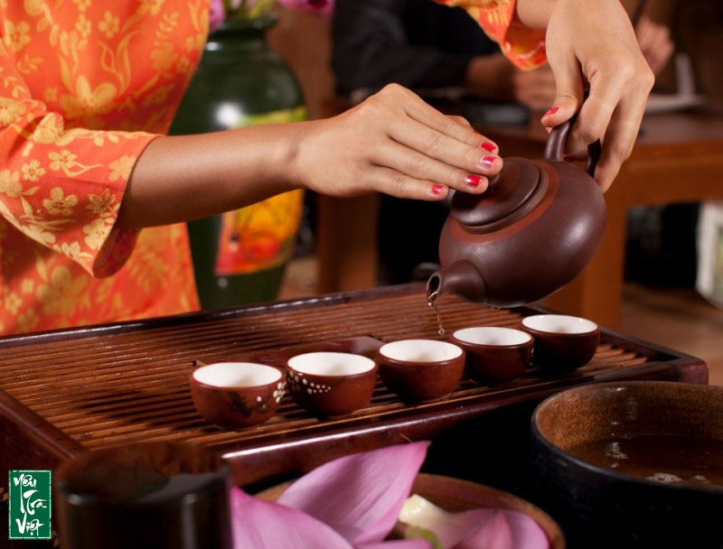 Lớp học trà tại Hà Nội cung cấp cho quý trà hữu những kiến thức chuyên sâu của từng dòng trà