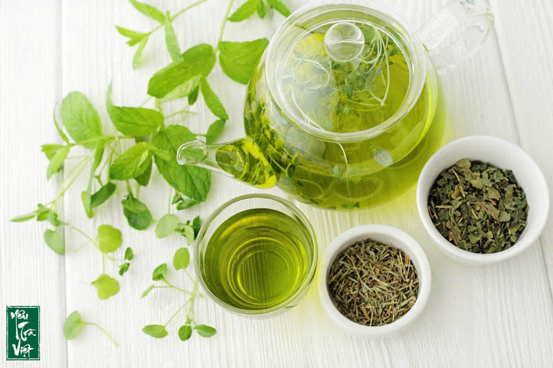 Trước khi đi ngủ có nên uống trà xanh hay không ?