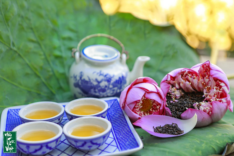 Trà Sen Tây Hồ là đặc sản nổi tiếng của đất Hà Thành