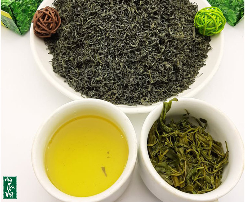 Trà Thái Nguyên là đặc sản không thể thiếu trong danh sách các loại trfa Bắc nổi tiếng thơm ngon
