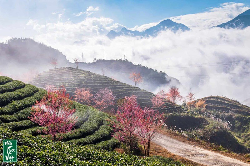 Địa điểm này đã không ít lần lọt vào tầm mắt của những tay săn ảnh để tạo ra những bức ảnh xuất sắc