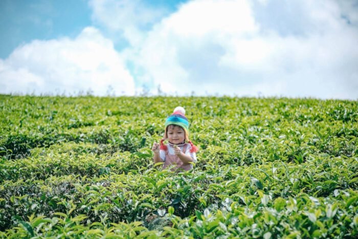 Cầu Đất Farm