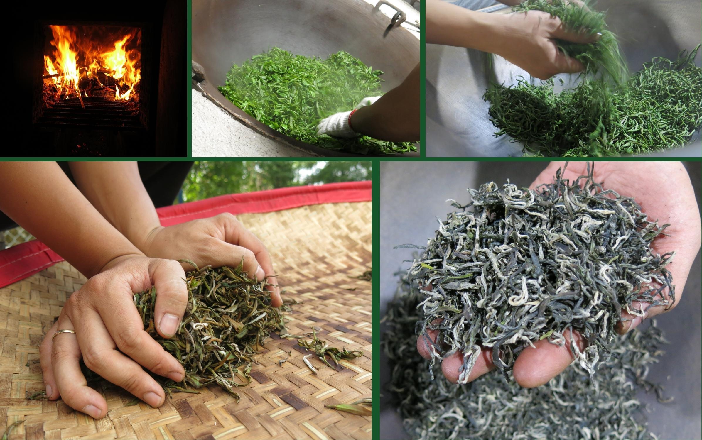 Các bước tạo ra một mẻ trà ngon của Hiền Minh Tea 