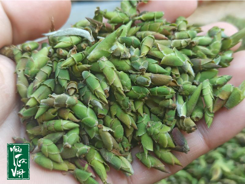 Trà móng rồng có hình dáng vô cùng đặc biệt