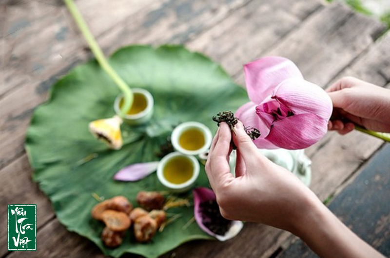 Pha trà sen Hồ Tây như một nghệ thuật tinh tế