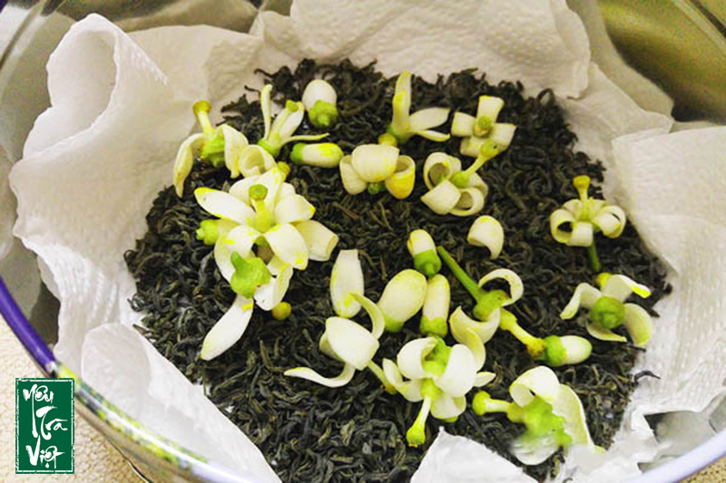 Trà ướp hoa bưởi