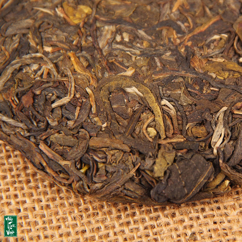 Dòng trà sống