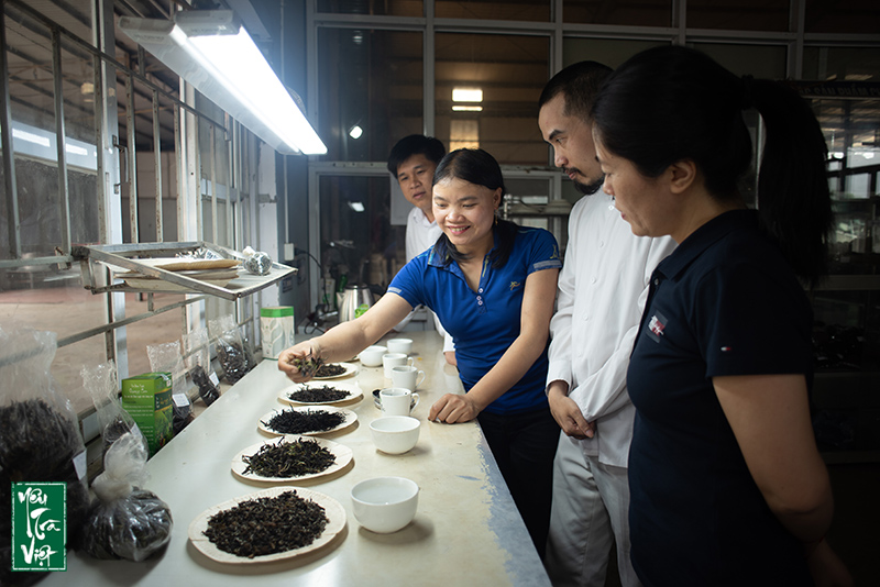 Thử các mẫu chè của Công ty chè Tam Đường 