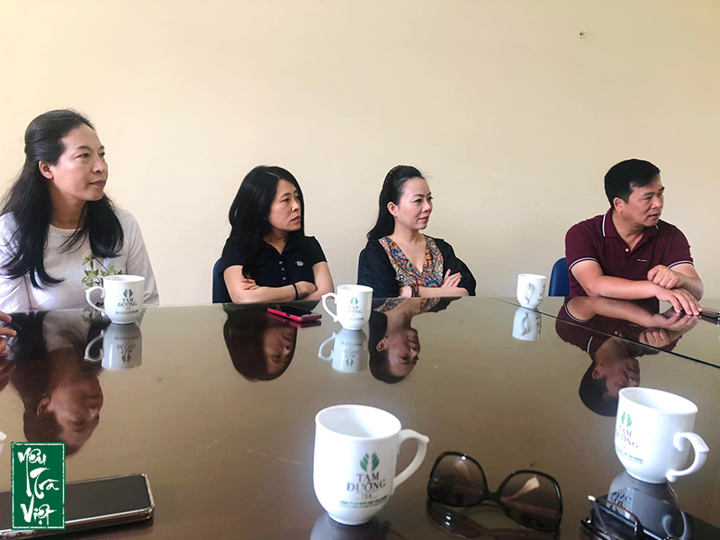 Yêu trà Việt làm việc với công ty chè Tam Đường