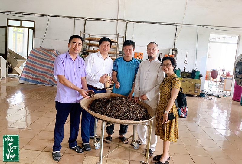 Đội ngũ Yêu trà Việt thăm khu vực sản xuất chè của trung tâm nghiên cứu 
