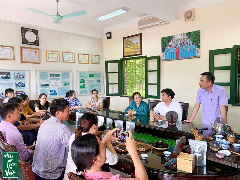 Nguyễn Ngọc Bình giám đốc Trung tâm Nghiên cứu và Phát triển Chè chia sẻ về ngành chè 