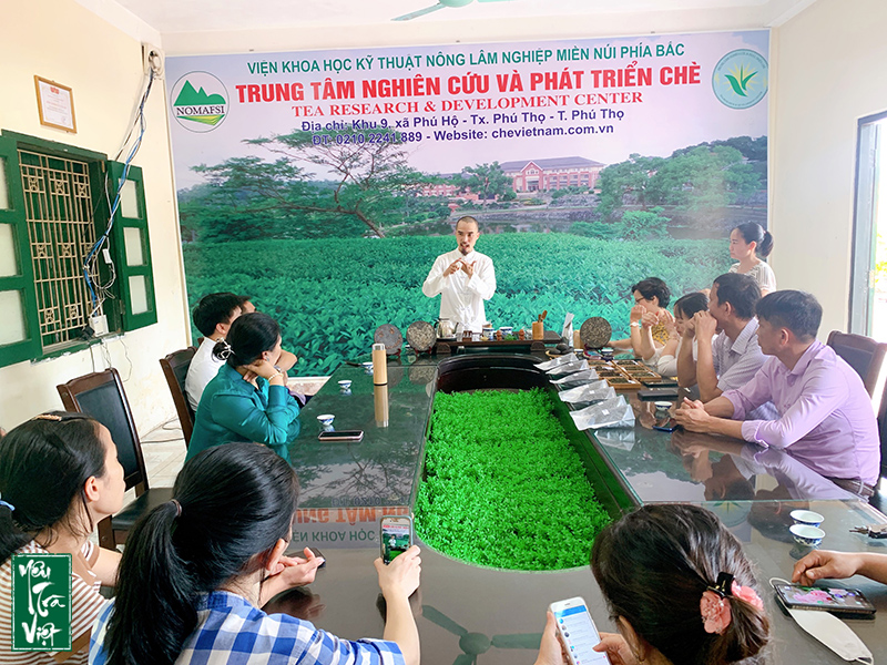 Người truyền cảm hứng về trà Thái Quang Đức đã hướng dẫn cho mọi người các cách pha trà