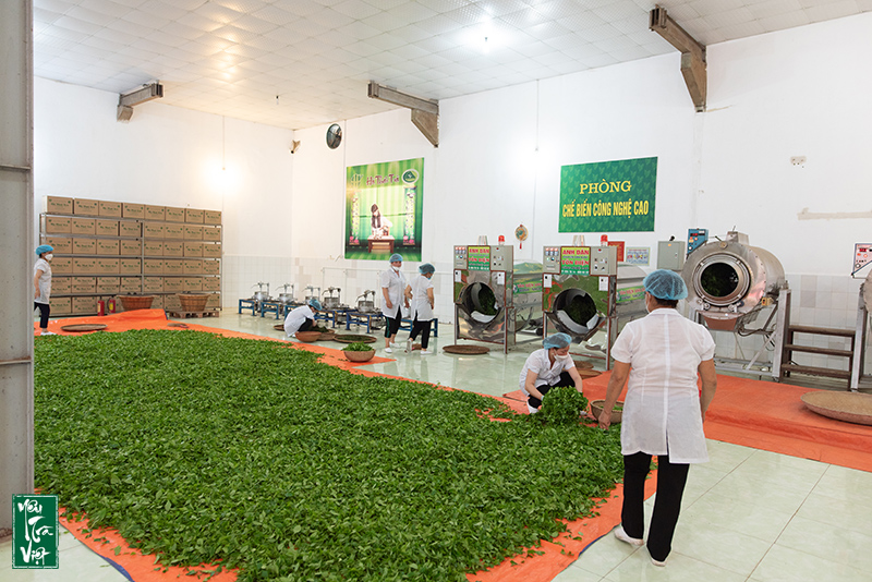 Dây chuyền sản xuất hiện đại 