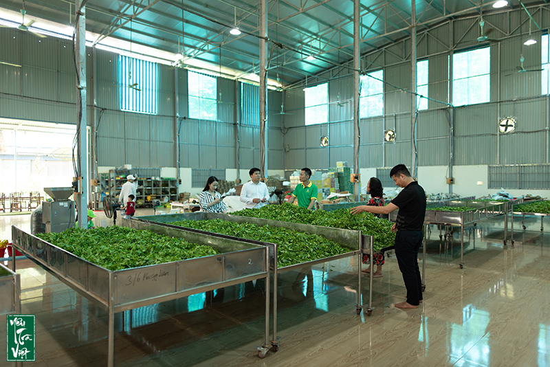 Qiu trình sản xuất an toàn, chất lượng 