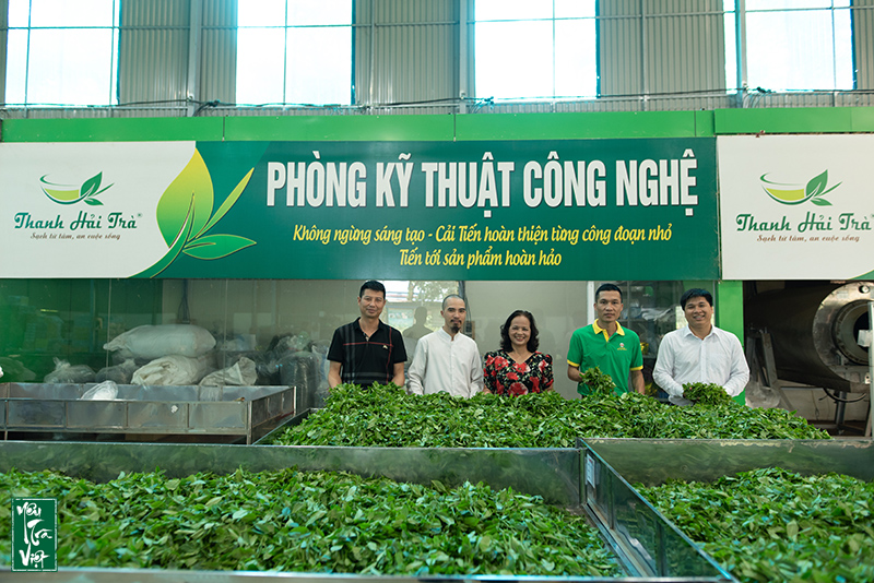 HTX chè La Bằng với thương hiệu Thanh Hải Trà được đông đảo người tiêu dùng yêu thích 