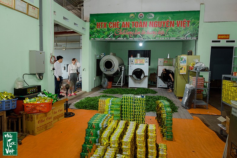 Hợp tác xã chè Nguyên Việt tại Trại Cài