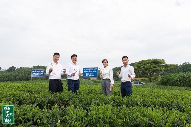 Tham quan vùng nguyên liệu tại HTX Nguyên Việt