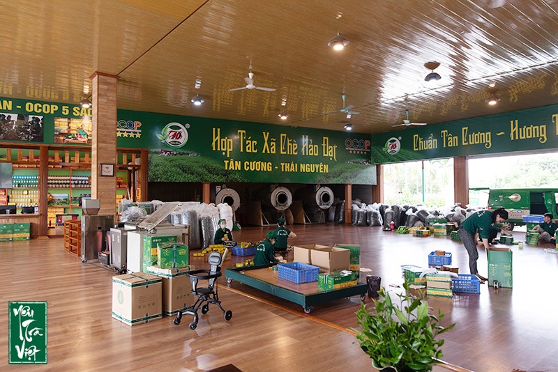HTX Chè Hảo Đạt với quy mô lớn cùng trang thiết bị tân tiến