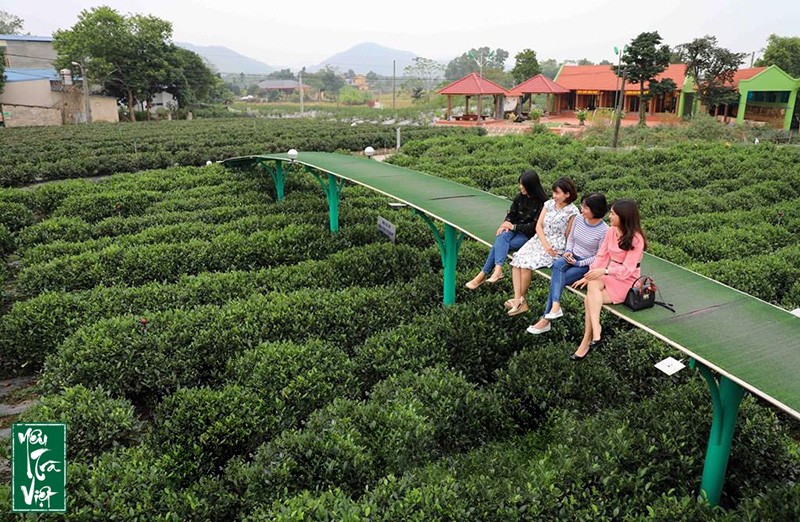 Du khách được trải nghiệm nhiều hoạt động thú vị