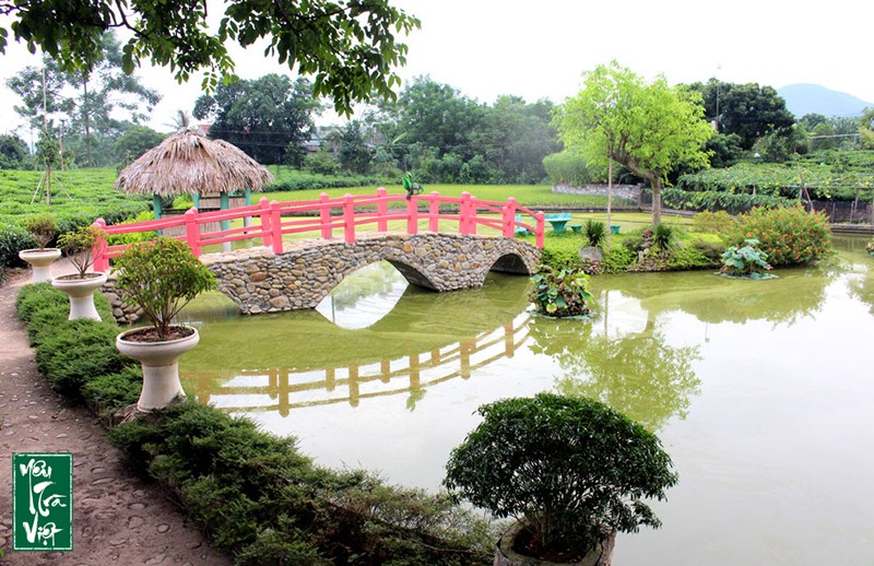 Không gian sinh thái hài hòa với thiên nhiên nương chè