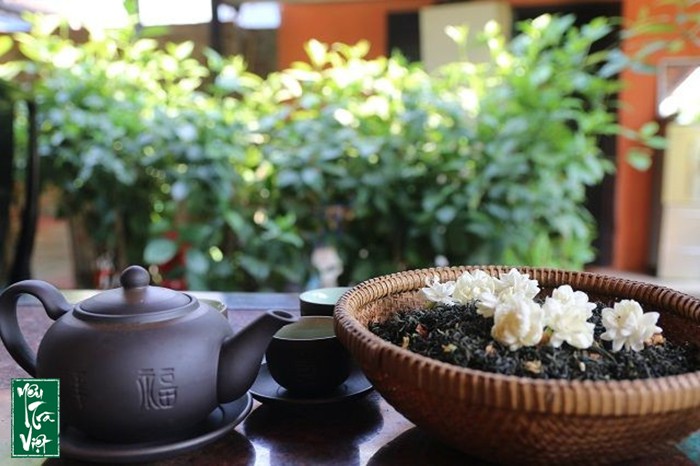 Phục vụ nhiều dòng trà khác nhau