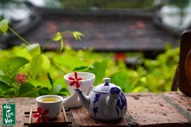 Không gian xanh mướt, cổ kính bao trùm Trà Thất