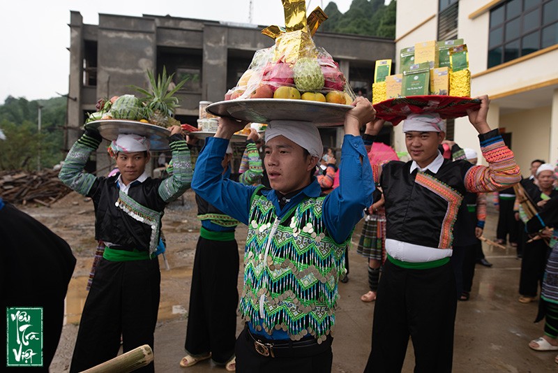 Các hoạt động trong lễ cúng cây chè Tổ