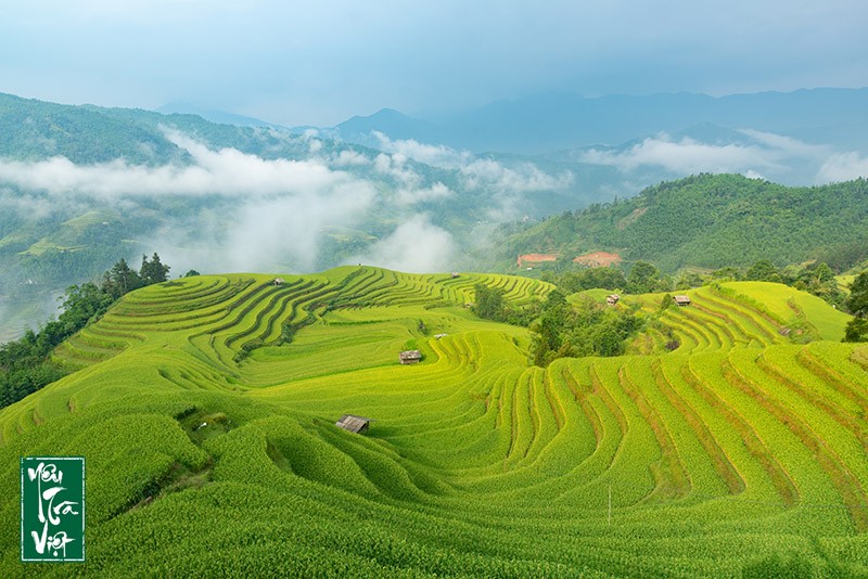 Di sản ruộng bậc thang Hoàng Su Phì 