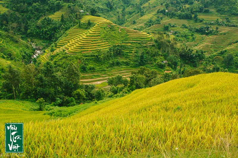 Tham quan di sản ruộng bậc thang xã Tả Sử Choong