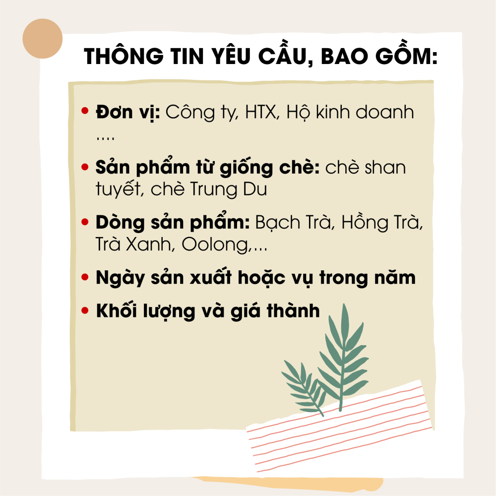 Thông tin yêu cầu khi comment dưới phần bình luận 