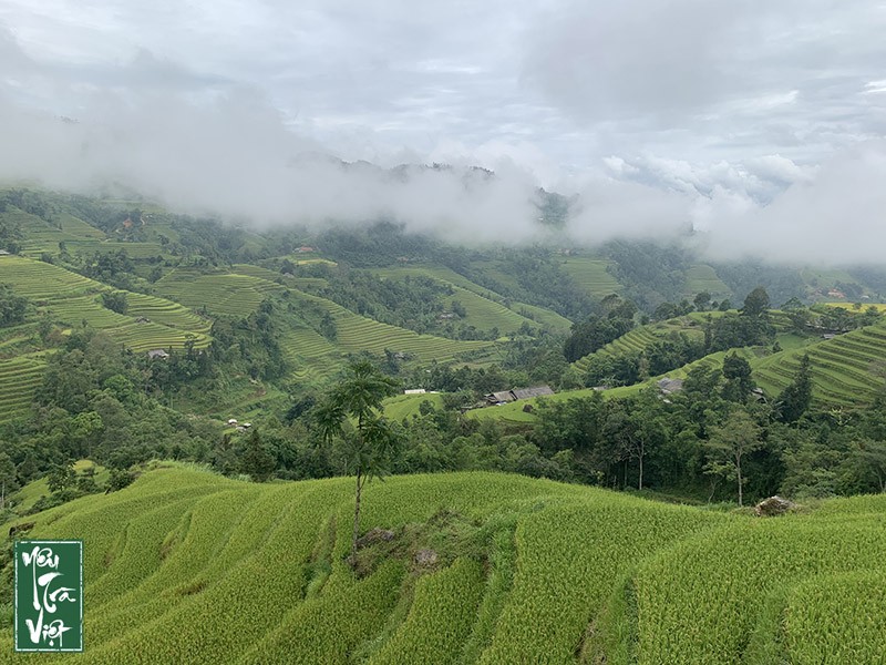 Di sản ruộng bậc thang Hoàng Su Phì