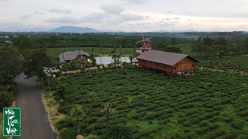 Làng chè Tây Nguyên từ trên cao nhìn xuống