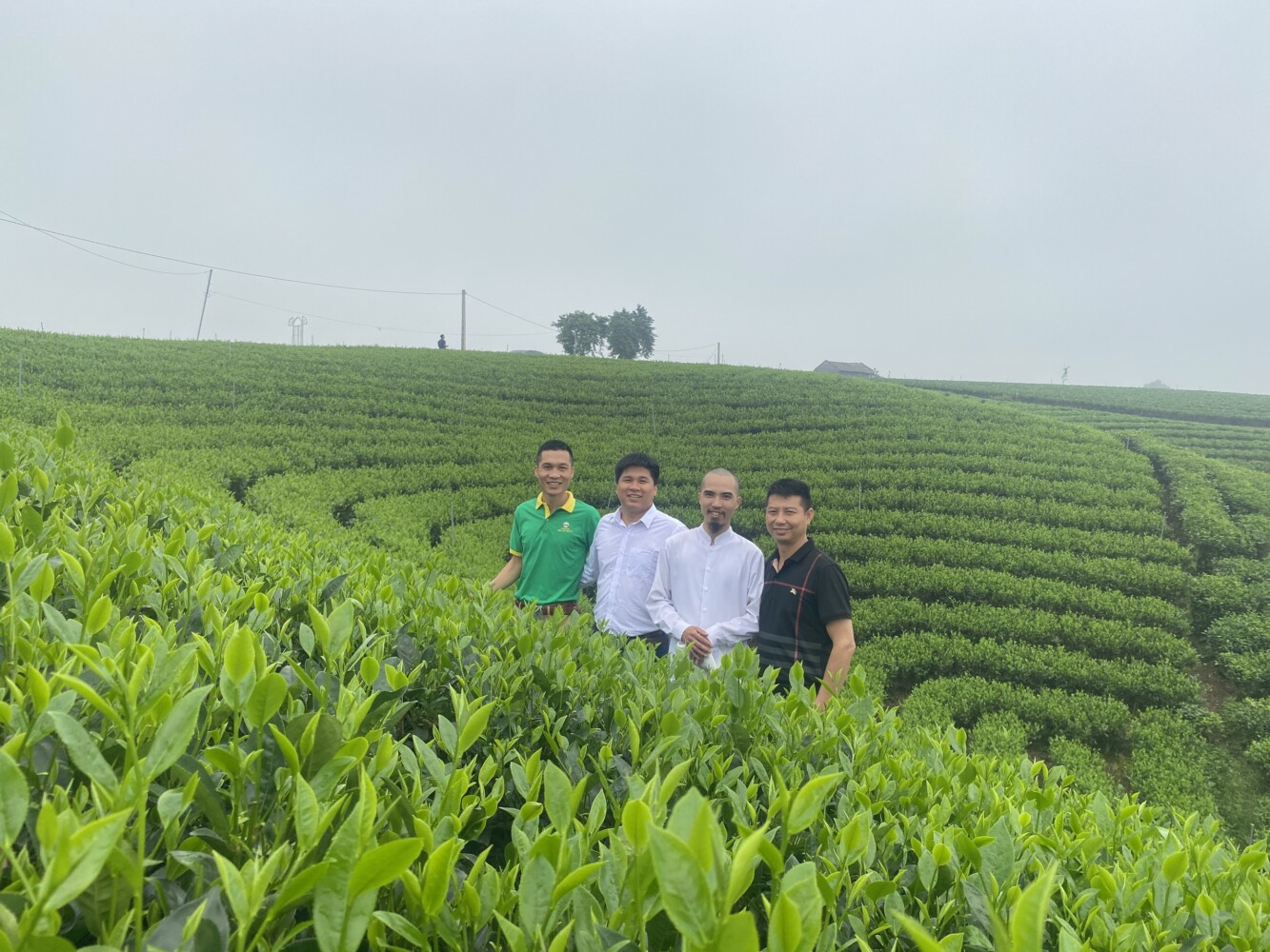 Yeu Tra Viet 10