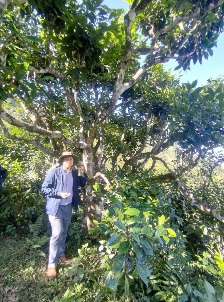Yeu Tra Viet 1