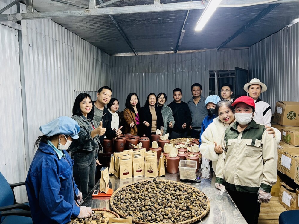 Tea Tour Yêu Trà Việt Hành Trình Về Nguồn Vùng Chè Shan Tuyết Cổ Thụ Tà Xùa
