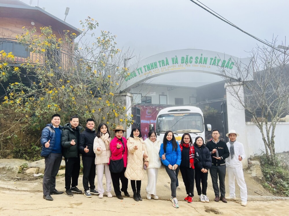 Tea Tour Yêu Trà Việt Hành Trình Về Nguồn Vùng Chè Shan Tuyết Cổ Thụ Tà Xùa