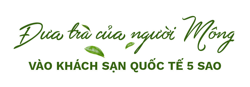 Để trà Việt Nam ra thế giới với tâm thế mới